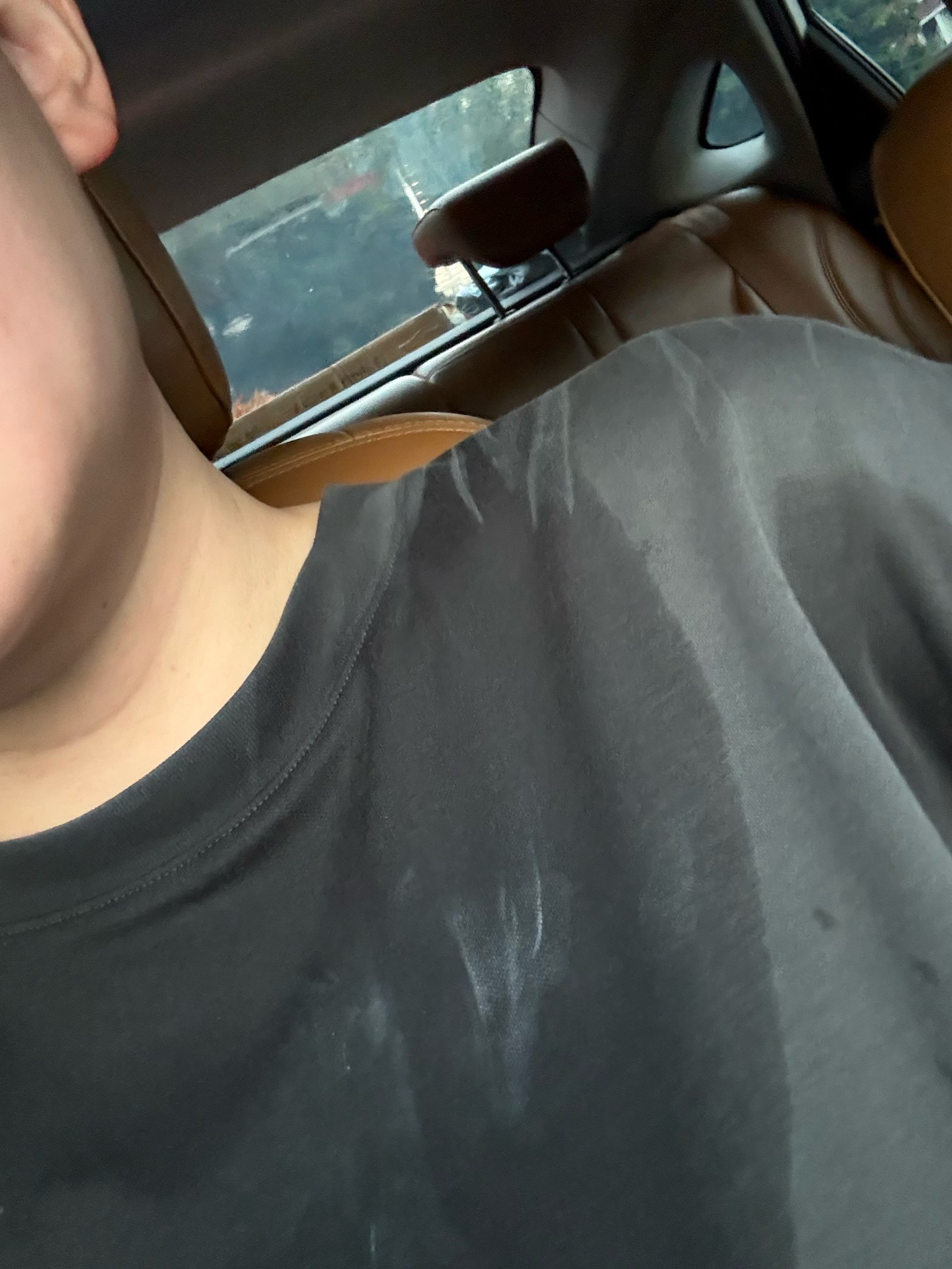 他们不仅在 他们不仅在