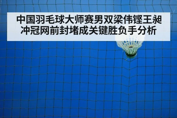badminton net shot